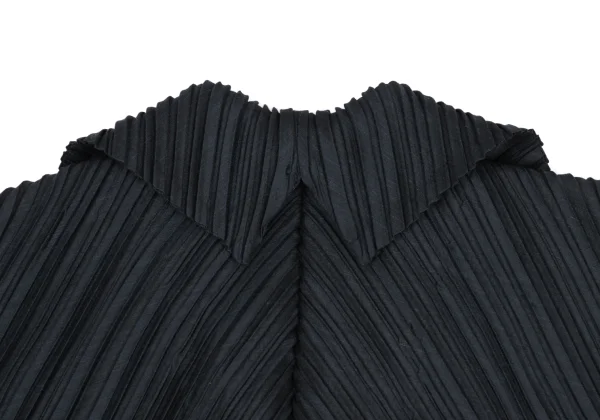 ISSEY MIYAKE Fade Pleats Wide Collar Blouse K-169403_011
