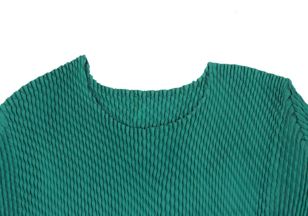 ISSEY MIYAKE Pleated Crew Neck T Shirt K-169412_003