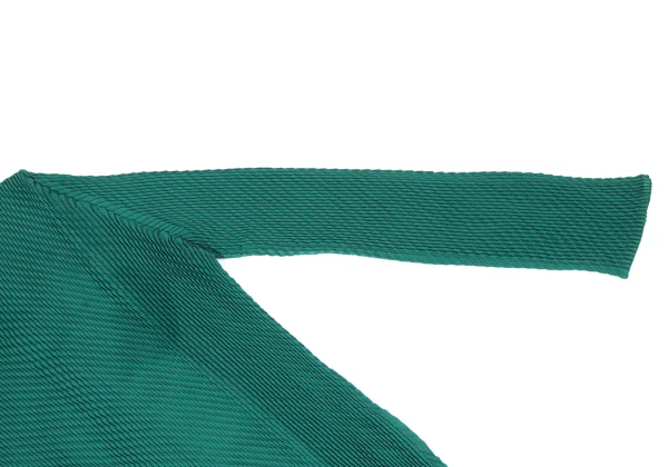 ISSEY MIYAKE Pleated Crew Neck T Shirt K-169412_004