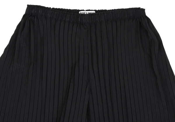 ISSEY MIYAKE Pleats Wide Pants K-169421_002