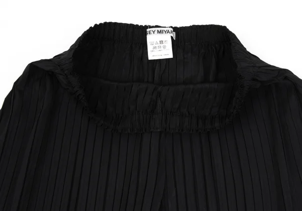 ISSEY MIYAKE Pleated Flare Wide Pants K-169422_003