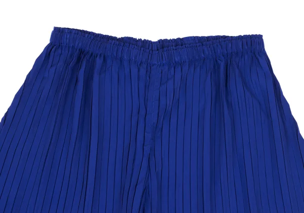 Unbranded Pleated Flare Wide Pants K-169424_002