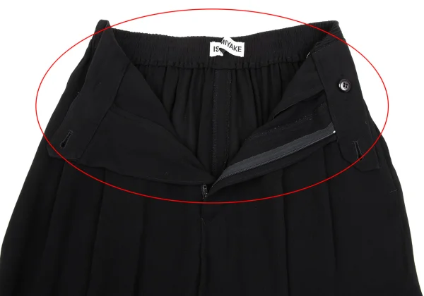 ISSEY MIYAKE Cupra Tuck Loose Fit Pants K-169428_006