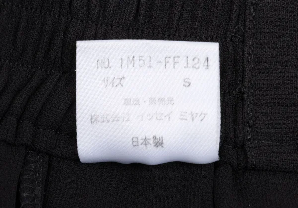 ISSEY MIYAKE Cupra Tuck Loose Fit Pants K-169428_015