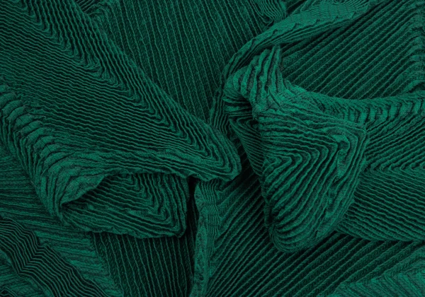 ISSEY MIYAKE 3D Steam Stretch Pleated Jacket K-169456_006