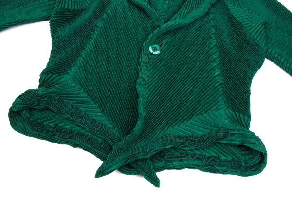 ISSEY MIYAKE 3D Steam Stretch Pleated Jacket K-169456_007