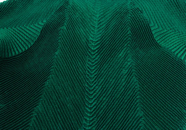 ISSEY MIYAKE 3D Steam Stretch Pleated Jacket K-169456_012