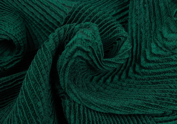 ISSEY MIYAKE 3D Steam Stretch Pleated Jacket K-169456_013