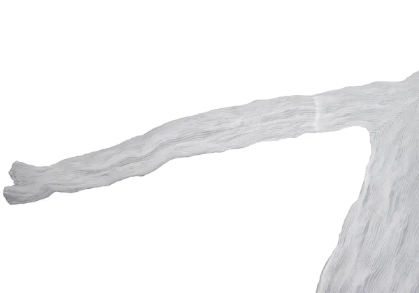 ISSEY MIYAKE Twisted Sheer Pleated Long-sleeved Top K-169459_006