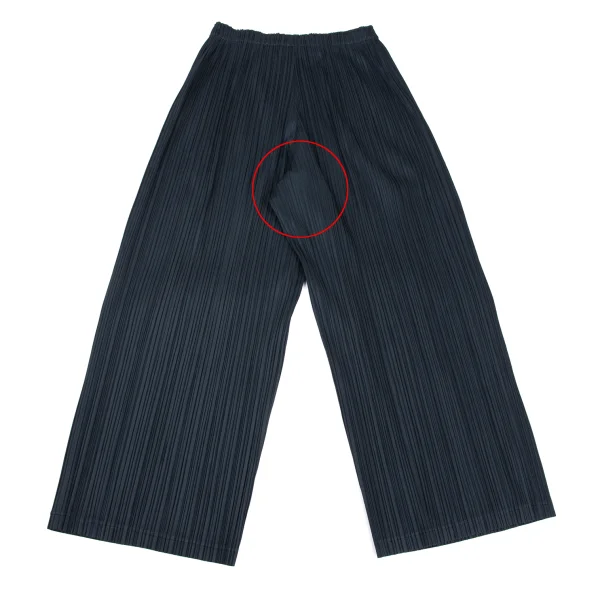 PLEATS PLEASE Pleated Wide Pants K-169465_007