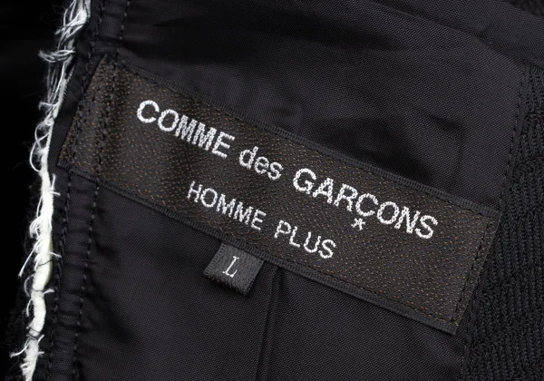 COMME des GARCONS HOMME PLUS Side Cut Frill Pasted Jacket K-169471_021