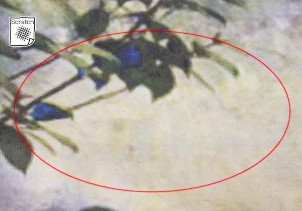 TSUMORI CHISATO Transfer Print Switching Tunic K-169537_005