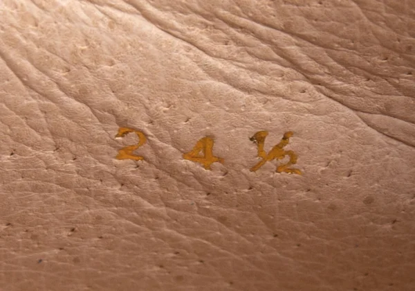 COMME des GARCONS Color Switching Leather Medallion Shoes K-169571_014