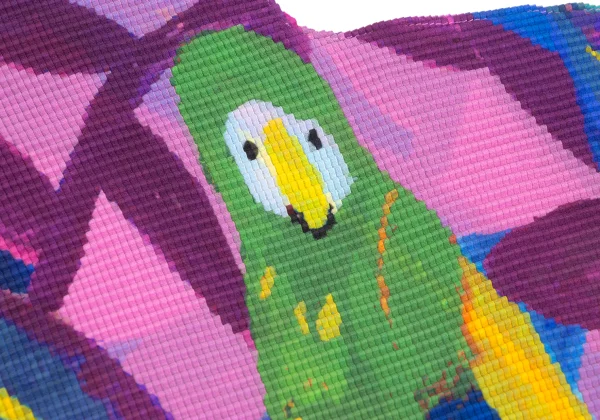 ISSEY MIYAKE me PARAKEET Graphic Print Stretch Pleats T-shirt K-169588_011