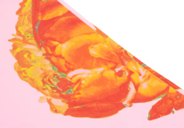 ISSEY MIYAKE Nylon Stretch Flower Print Pants K-169605_015