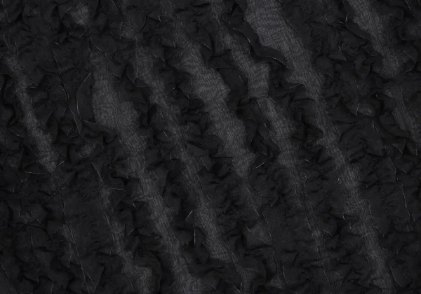 COMME des GARCONS Front Ruffle Taped Sheer Top K-169633_007