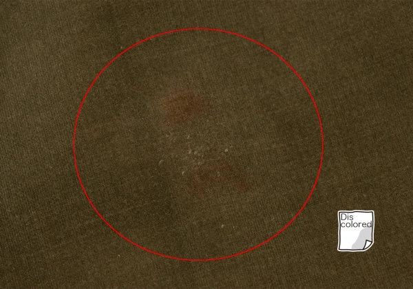 COMME des GARCONS Cotton Velvet Shorts K-169646_009