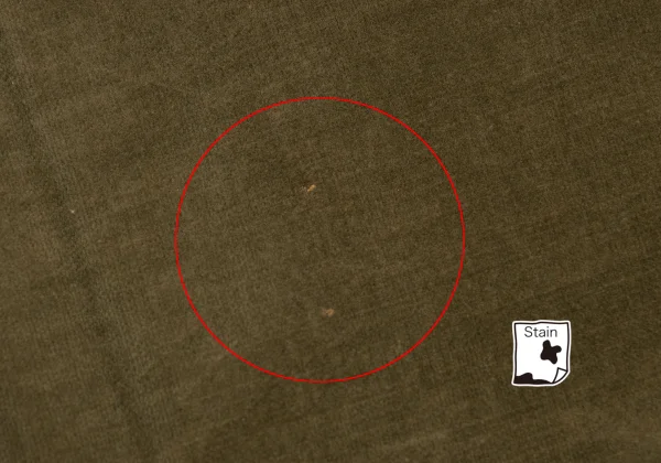 COMME des GARCONS Cotton Velvet Shorts K-169646_016