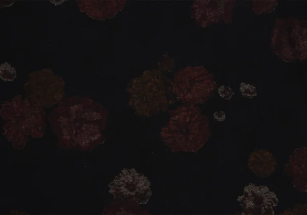 tricot COMME des GARCONS Floral Inside Print Round Collar Blouse K-169658_015