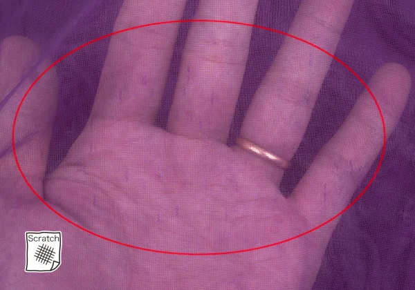 COMME des GARCONS Corsage Layered See-through Top K-169681_005