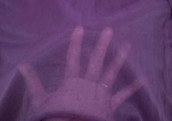 COMME des GARCONS Corsage Layered See-through Top K-169681_017