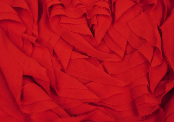 COMME des GARCONS Chiffon Frill Ribbon Sleeveless Top K-169715_007