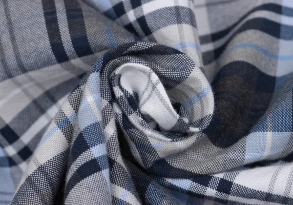 POLO RALPH LAUREN Pony Embroidery Check Button-down Shirt K-169770_013