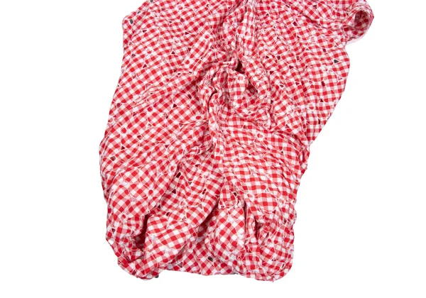 JUNYA WATANABE COMME des GARCONS Checked Floral Embroidery Blouse K-169792_008