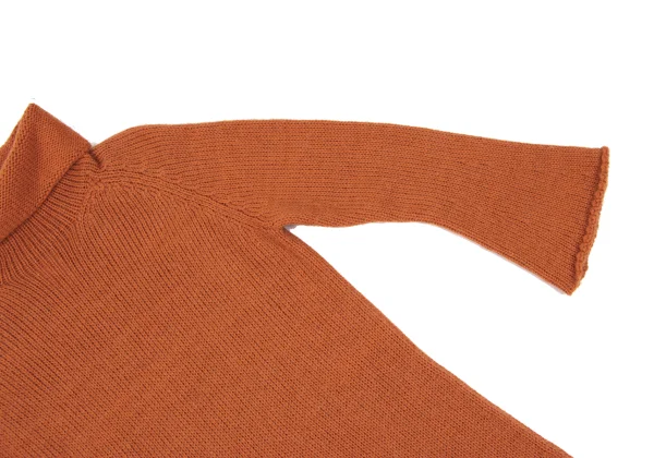 Yohji Yamamoto FEMME Wool Blend Turtleneck Knit Dress K-169984_006