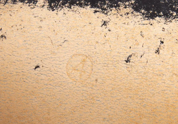 Vivienne Westwood Elevated Court Tassel Leather Heels K-170177_013