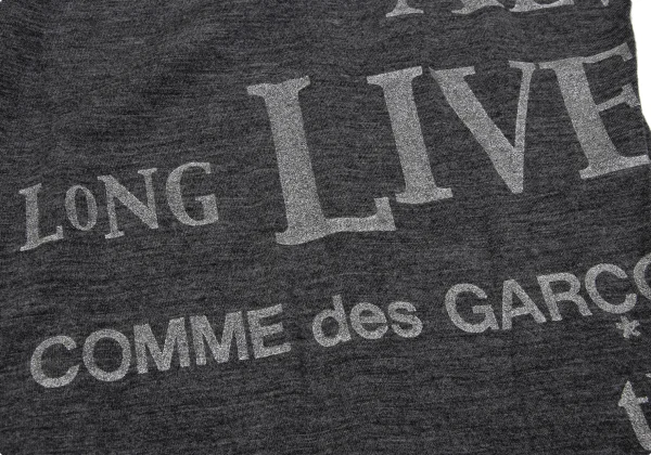 COMME des GARCONS Lettering Glitter Print Sleeve Switching T Shirt K-170204_012