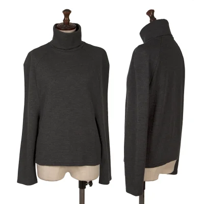 Y's Turtleneck Raglan Top