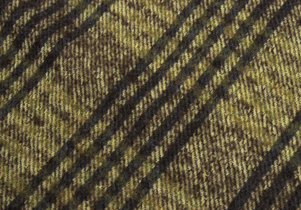 ISSEY MIYAKE im product Checker Fringe Scarf K-170259_005
