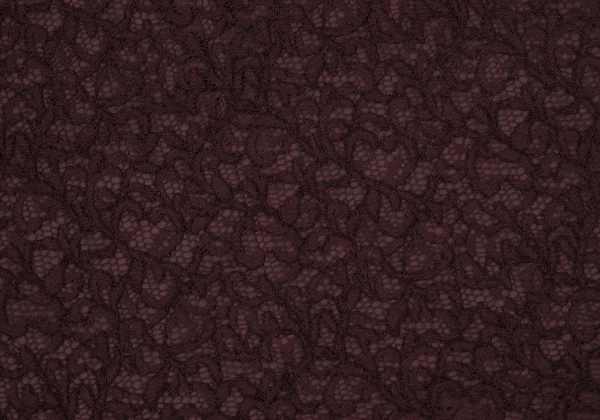 JOURNAL STANDARD Rayon Nylon Lace Skirt K-170325_010