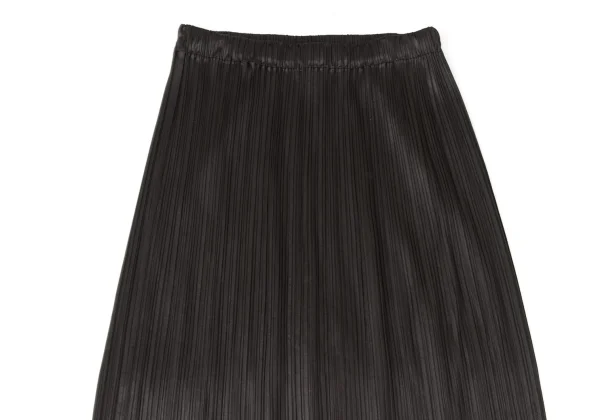 ISSEY MIYAKE Pleats Skirt K-170400_003