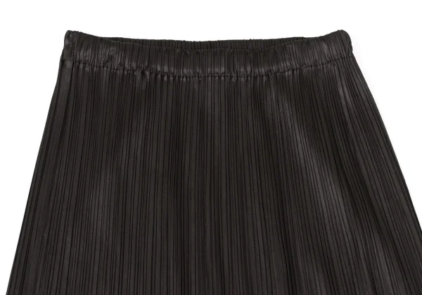 ISSEY MIYAKE Pleats Skirt K-170400_004