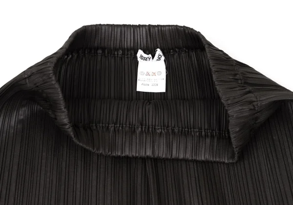 ISSEY MIYAKE Pleats Skirt K-170400_005