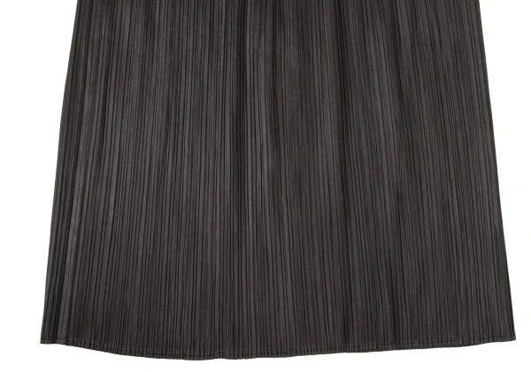 ISSEY MIYAKE Pleats Skirt K-170400_006