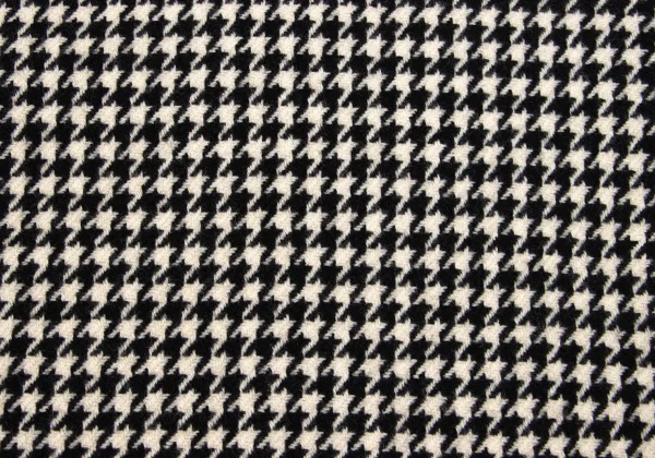Yohji Yamamoto FEMME Houndstooth Hem Fringe Long Skirt K-170419_013