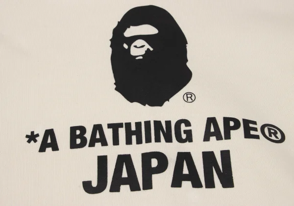 A BATHING APE BAPE Logo Print Hoodie K-170828_003