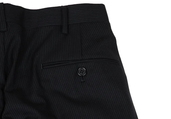 POLO by Ralph Lauren Wool Striped Pants K-170961_011
