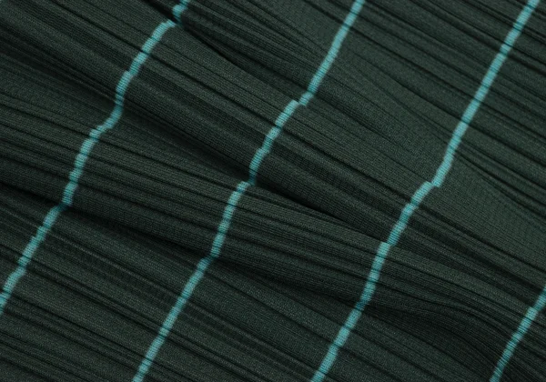 PLEATS PLEASE Striped Print Switching High-neck Tank Top K-171005_009