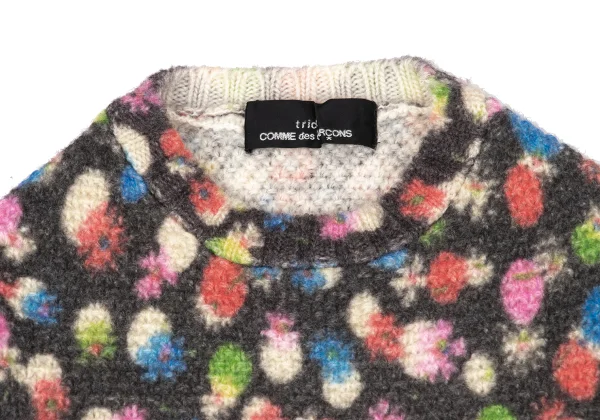 tricot COMME des GARCONS Floral Printed Knit Sweater K-171140_006