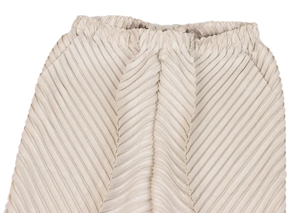 ISSEY MIYAKE Bias Pleated Pants K-171415_002