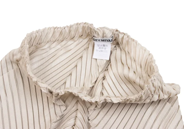 ISSEY MIYAKE Bias Pleated Pants K-171415_003