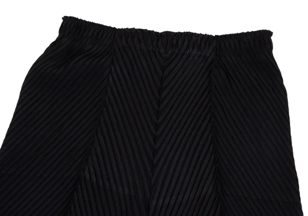 ISSEY MIYAKE Folded Pleat Pants K-171417_002