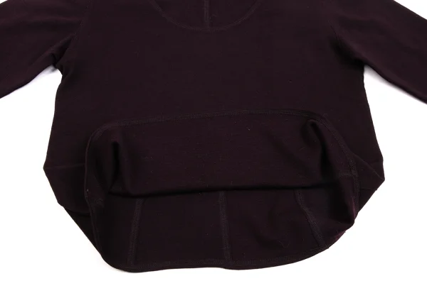 JURGEN LEHL Wool Outseam Crew Neck Knit Top K-171425_010