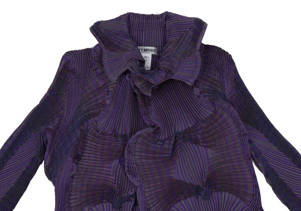 ISSEY MIYAKE 3D Steam Stretch Pleated Stripe Jacket K-171578_003
