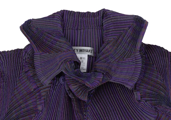 ISSEY MIYAKE 3D Steam Stretch Pleated Stripe Jacket K-171578_004