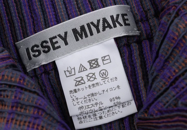 ISSEY MIYAKE 3D Steam Stretch Pleated Stripe Jacket K-171578_017